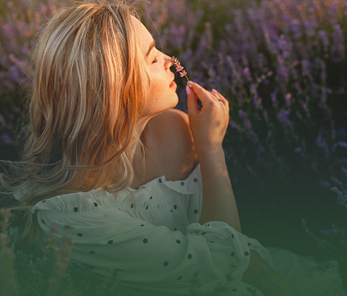 מילוי למפיצי ריח